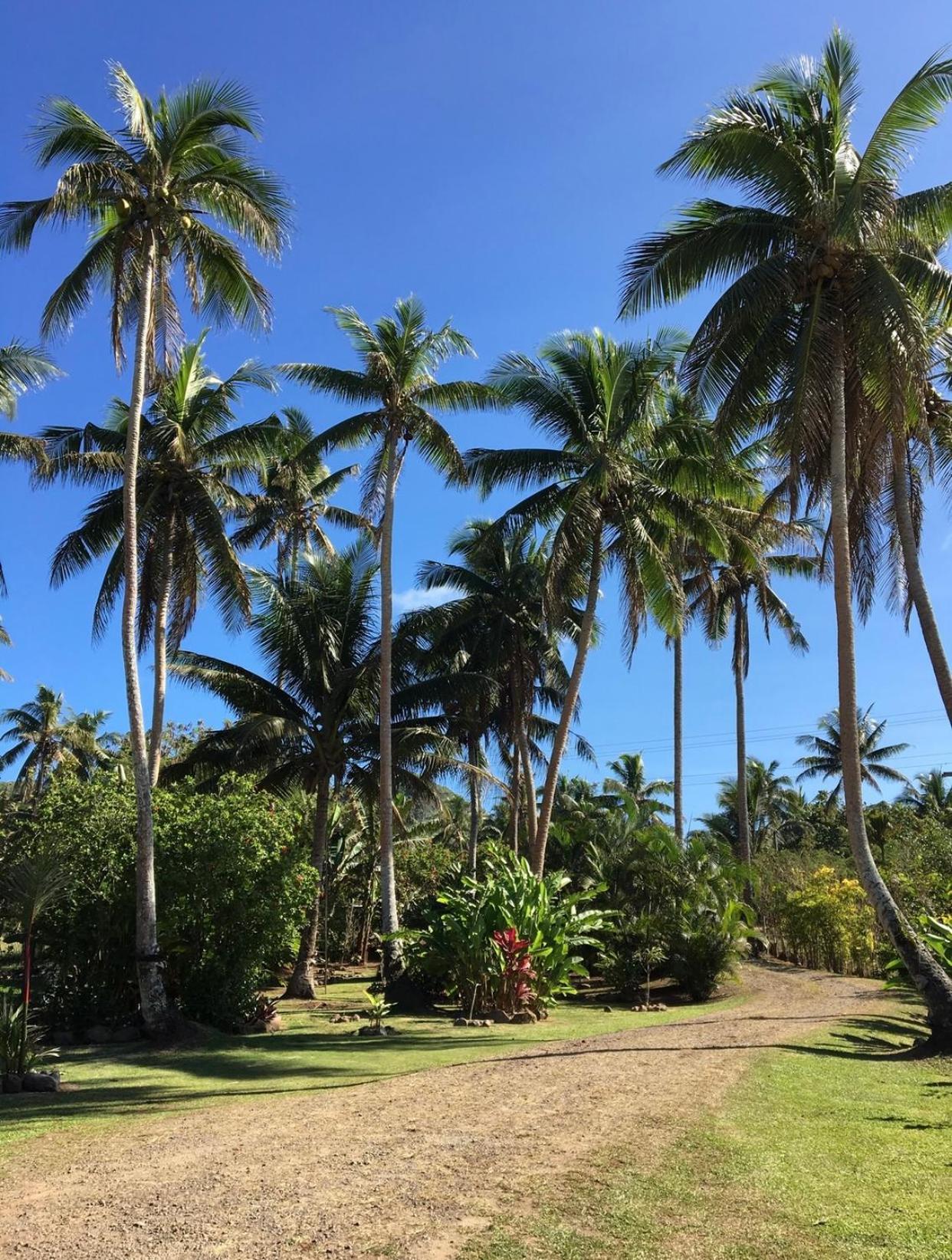 Island Breeze Fiji Villa Savusavu Phòng bức ảnh